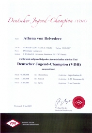 AthenaJgdChamp AthenaJgdChamp