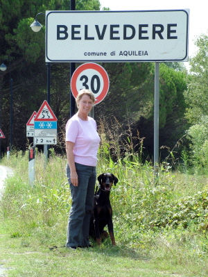 belvedere