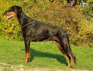 Oktober 2010